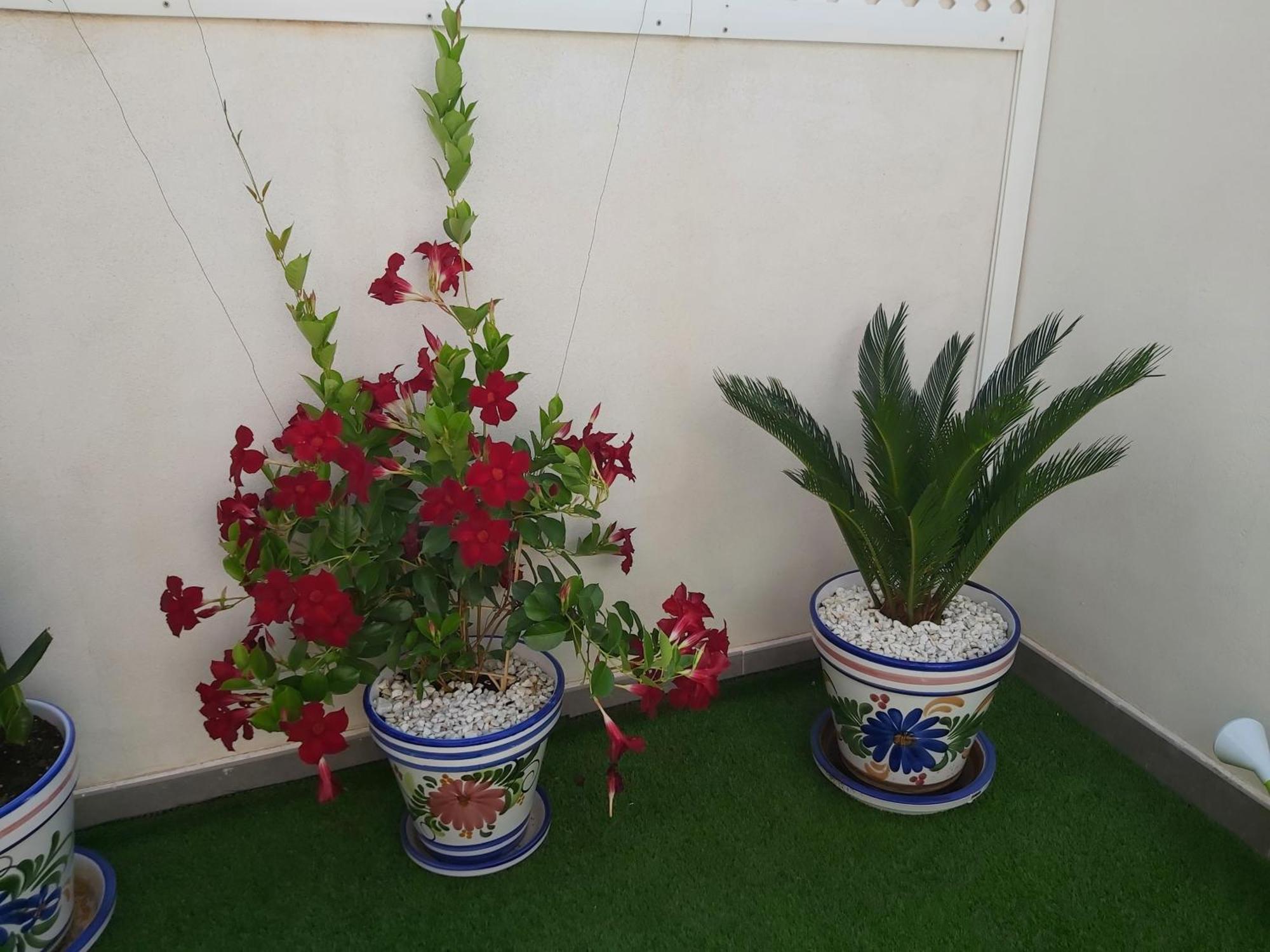 Apartment To Be In Málaga